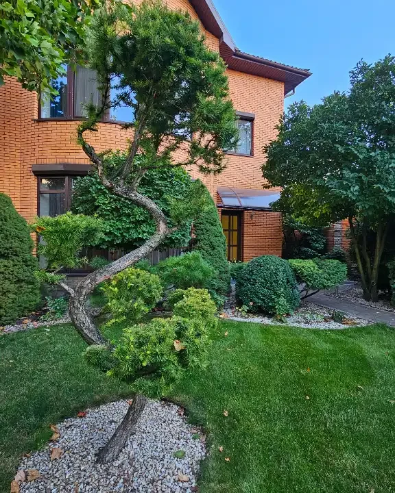 b863ba1f-d848-4f96-9c55-4a4ed5fd6e4b